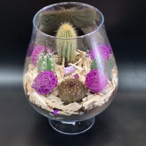 Composition de plantes Joie