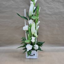 Composition Elégance